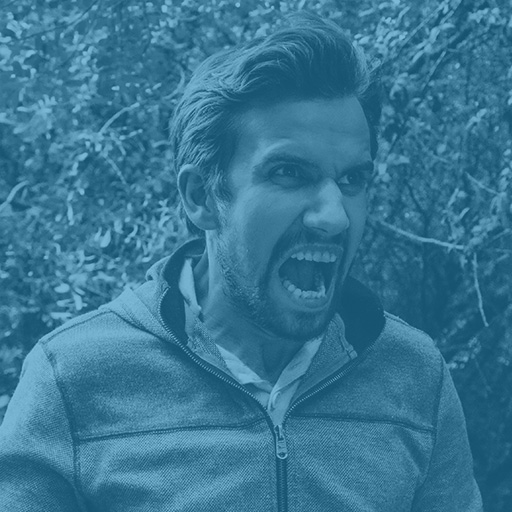 Male Aggression Test